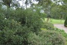 Tennyson NSWresidential-landscaping-35.jpg; ?>