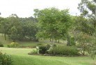 Tennyson NSWresidential-landscaping-40.jpg; ?>